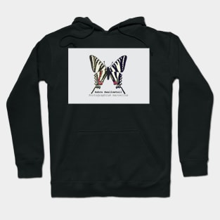 Zebra Swallowtail Hoodie